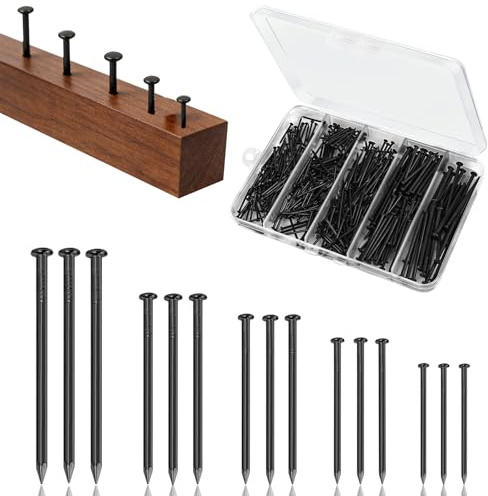 Stålspikset, 400 stycken svarta naglar hänga bilder, hårdvara nagelsortiment kit små naglar naglar set för hushåll gör-det-själv väggnaglar tränaglar ytbehandling naglar (5 storlekar)