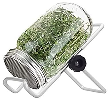 Lawnrden Mason Jars Kit Barattolo per germinazione Set di germogli per Semi di germinazione con Supporto per Coperchio per la Coltivazione di Broccoli, germogli di Medica 500 ml, Barattoli di Vetro