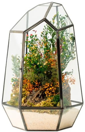 WabiFlur Terrario Stabilizzato Hyde in Vetro Forma Diamond, completi di Fiori e muschi Stabilizzati Arredo Naturale Elegante Senza Manutenzione per Casa, Ufficio e Idee Regalo Green