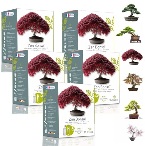 CULTIVEA® Mini Kit Prêt à Pousser 6 Bonsaï – Graines Françaises 100% Écologiques - Jardinez et décorez - Idée Cadeau (Red Mapple, Chinese Cercis, Albizia, Cornus Kousa, Norway Spruce) (x3)