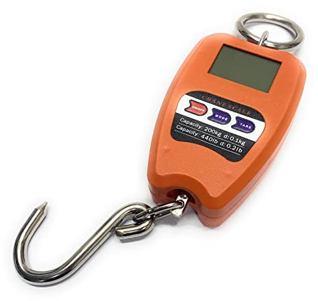 TEMPO DI SALDI Balance Professionnelle numérique Industrielle Crochet dynamomètre Ressort Max 200 kg, Assortis