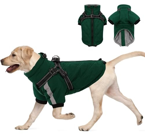 CITÉTOILE Manteau Chaud et Coupe-Vent pour Chien par Temps Froid, Vêtement d'Hiver avec Fermetures Éclair et Poignets Amples, Vert, L