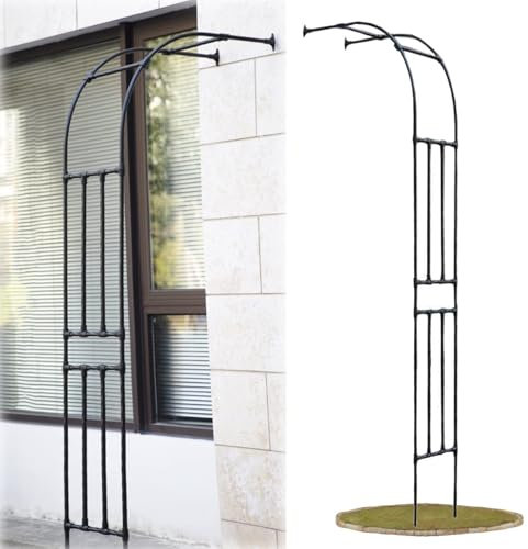 forestalk Arc à Demi-côté, Arc De Jardin Lourd Arc Arc Arc Arc Arc De Support pour La Plante d'escalade Rose.(Size:60x240cm/2.0x7.9ft,Color:Noir)