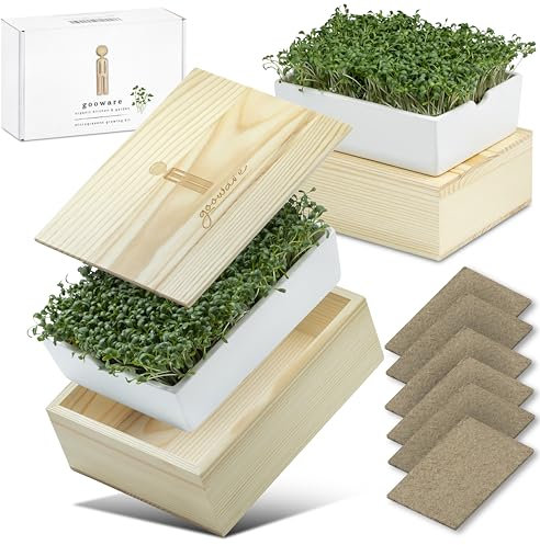 gooware DOPPELSET - Kresse Anzucht Keimschale indoor mit Bio Kresse Samen, Bio Broccoli Samen, Keramikschale und formschöner Design-Holzaufnahme zur Aufbewahrung Deines Saatgutes