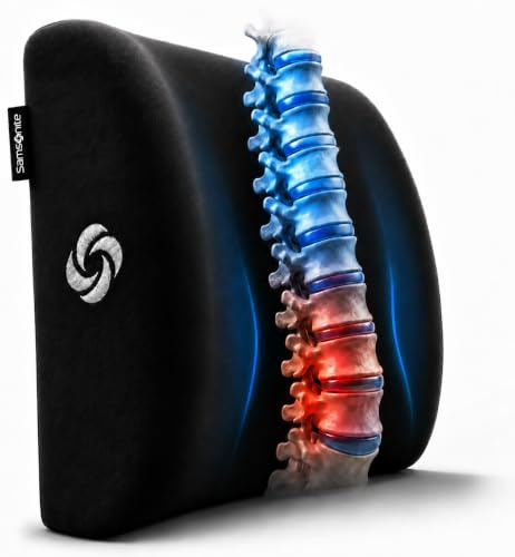 Samsonite Lumbar Support Pillow for Office Chair and Car Seat, Perfectly Balanced Memory Foam, Versatile Use Lower Back Cushion, Black Plush