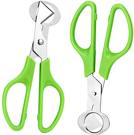 ALTcompluser 2 forbici per uova di quarta, in acciaio inox, per uova di quarta, tagliauova, taglia-uova, vaschetta per uova, gadget per la casa, la cucina, il ristorante (verde)