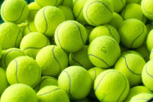 30 Used Tennis Balls For Dogs. Choose From 4 Different Ball Conditions, From Excellent to Good (30 Excellent Condition Used Tennis Balls)