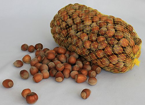 Haselnüsse aus Deutschland - 1.Wahl - Ganze Nüsse für Mensch und Tier! Oder als Nagetierfutter, Tierfutter, Futter für Eichhörnchen, Streifenhörnchen, Nagetiere und Papageien - 5 Kg