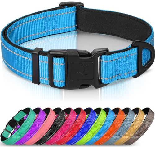 Joytale Reflekterande hundhalsband, vadderad andningsbar mjuk neopren nylon husdjurshalsband justerbar för stora hundar, L, himmelsblå