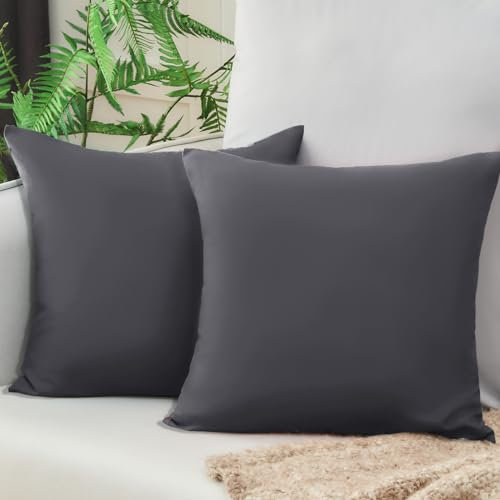 Vielit Sofa Kissenbezug 40x40 Anthrazit Weich Kopfkissenbezug 40x40 2er Set Mikrofaser Kissenbezüge 40x40 Kissenhülle Für Kissen 40x40cm Öko-Zertifikat Resistent Hypoallergen
