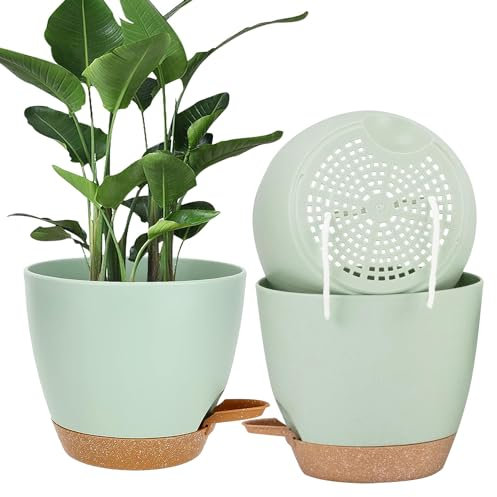 Accmuzzy 20cm Plant Pots Indoor,3pcs Self Watering Plant Pots,House Indoor Plant Pot,Large Flower Orchid Plant Pots with Holes,Plastic House Inside Plant Pot Planters with Saucer (Green)
