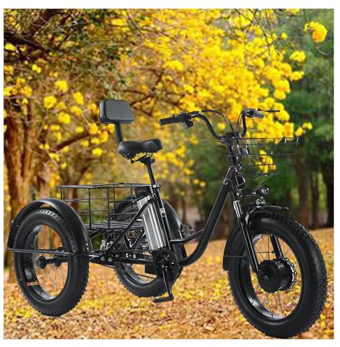 CNAOHGHN Motor Adult Electric Trike, 500W 48V Electric Trike, 20 Fat Tire 3 Wheel Electric Bike with Removable Battery, Toolkit, All-Terrain E-Bike for Adults and Teens