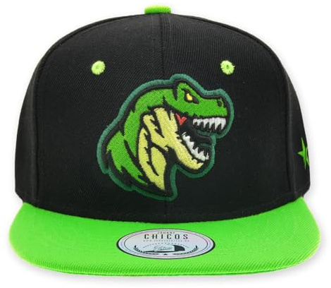 JOHNNY CHICOS Sorry I'm Fresh süße Kindercap Kinder Cap Snapback 49-56cm Kopfumfang (JC-T-REX)