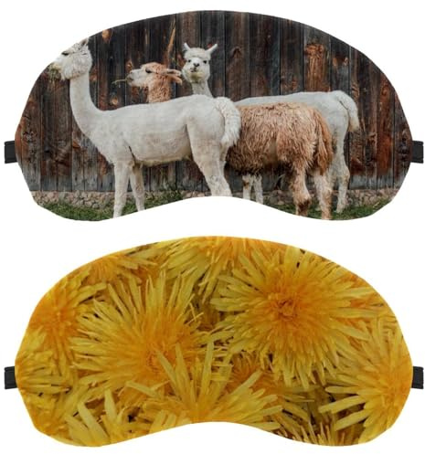 Gula krysantemum blommor