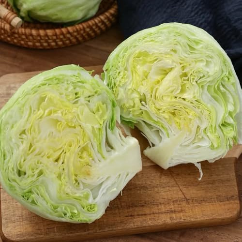 semillas de lechuga recoger lechuga balcón invernadero, de balcón de lechuga de invierno de exóticas resistentes 85pcs