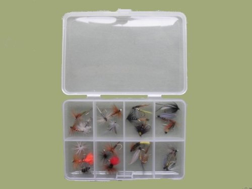 24 Nass und Trocken Forellenangeln, Fliegen mit Fächern in Box, verschiedene Größen