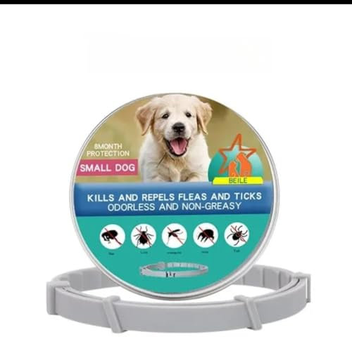 Collier Anti-Puces et Tiques pour Petit Chien, Protection 8 Mois, sans Odeur, Non Gras, Gris