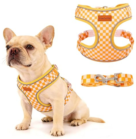PawSailor dragfri hundsele liten hund med koppel gul XS | Valpsele andningsbar, mesh, reflekterande, rutmönster, justerbar mjuk vadderad för små hundar och katter
