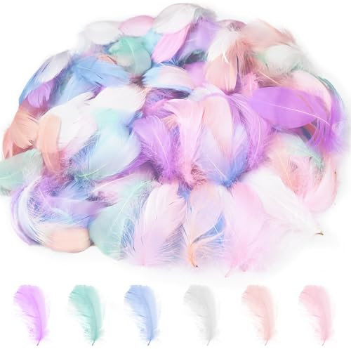 luckaide Federn zum Basteln, 500 Stück Bunte Federn zum Basteln, Natürliche Federn Bastelfedern Federn Kaufen für Kindergarten, DIY-Handwerk, Hochzeit, Party, Dekorationen, Traumfängerzubehör