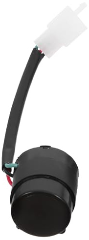 GANAZONO Cicalino Frecce Scooter, Relè Lampeggiatore per Atv e Moped, Plastico Nero, Compatibile Vari Veicoli, per Maggiore Sicurezza