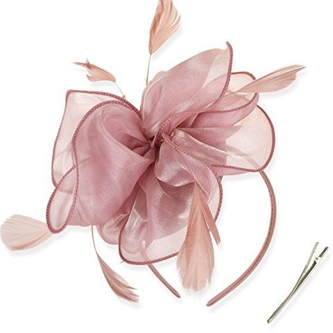 DRESHOW Fascinators Hat Tea Party Headwear Ribbons Feathers on a Headband and a Clip for Women
