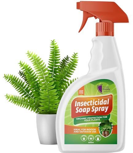 Insecticidal Soap Spray for Plants 500ml – Natural Pest Control for Indoor & Outdoor Use – Kills Aphids, Spider Mites, Whiteflies and More – Natural Insecticide for Houseplants, Vegetables and Gardens