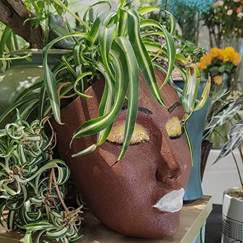 RWUDV Fioriera con testa di fiori con foro di drenaggio, in resina, da appendere alla parete, per decorare la casa, centrotavola, ufficio o esterno, decorazione da appendere