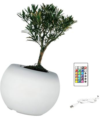 Dcaknri Vasi da Fiori Luminosi a LED per Piante da Interno Illuminazioni Multicolori e Accessori Decorativi da Giardinaggio Vasi da Fiori a LED con Modelli a Colori