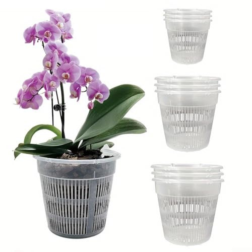Macetas transparentes para orquídeas con platillos, paquete de 6 forros de plástico PP para monitoreo de flujo de aire, drenaje y salud de raíces, para orquídeas de interior y exterior y violetas