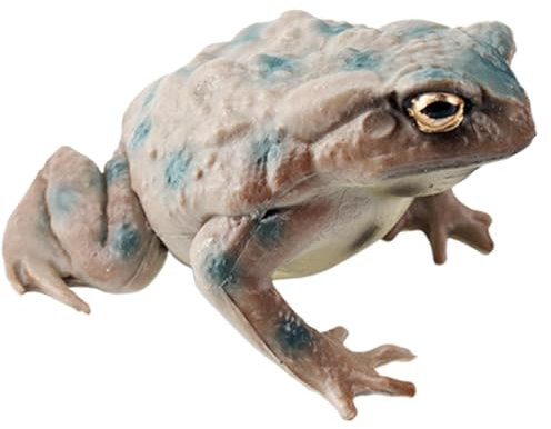 Kröte Spielzeugtier,Kröte Kinderspielzeug - Ochsenfrosch Figur Modell PVC Froschfiguren - Miniatur-Sammelfiguren, pädagogische Froschstatue, Modelle, Spielzeug für die Schule zu Hause