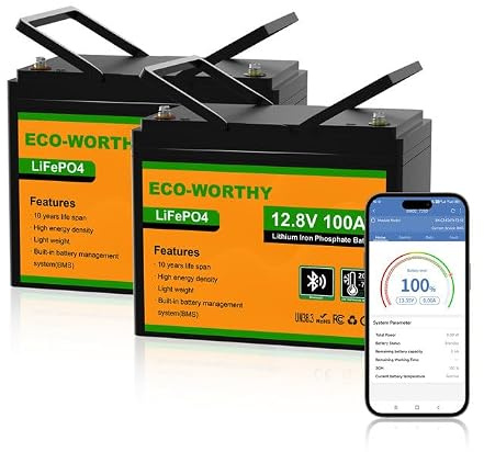 ECO-WORTHY 2-pack LiFePO4 12 V 100 Ah Bluetooth med 100 A BMS lågtemperaturskydd och max. 15 000 cykler, 1 280 Wh litiumbatteri 12 V 100 Ah bilbatteri för husbil, husvagn, båt
