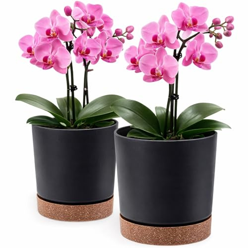 PECZEKO Blomkruka matta, planteringskruka av ytterkruka plast dekorativ kruka för, stora och små växter, set om 2 blomkrukor, blomkruka örtkruka (2-pack) antracit, ø 13 cm