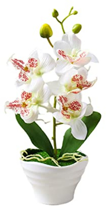 Anynoch Orquídea Artificial Morada de Cinco Flores de 27 cm en Maceta de Plástico Blanca Mini Orquídea Artificial de Seda Blanca, Ideal para Decorar Cocina, Baño, Hogar, Oficina, Boda (White)