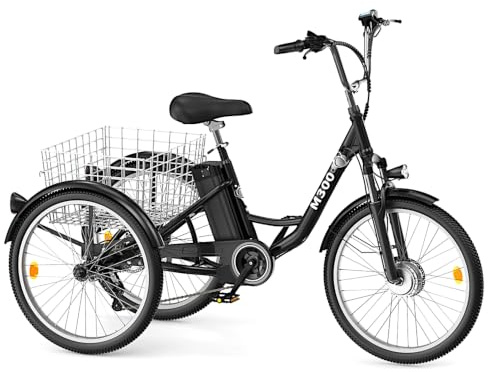 Fanesen Triciclo eléctrico para adultos, bicicleta eléctrica de 24 para hombre y mujer con batería de 36 V 15 Ah hasta 50 km, motor de 250 W con pantalla LCD, 20 km/h, cesta delantera y trasera