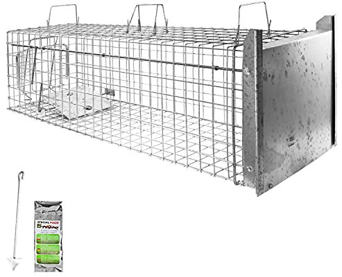 Lebendfalle Marder Lebend Garten Waschbären Fuchs Kaninchen Abwehr Umsiedeln Falle Marder Haus Zubehör Vertreiben Dachboden 120 x 34 x 34 Stable Petigi