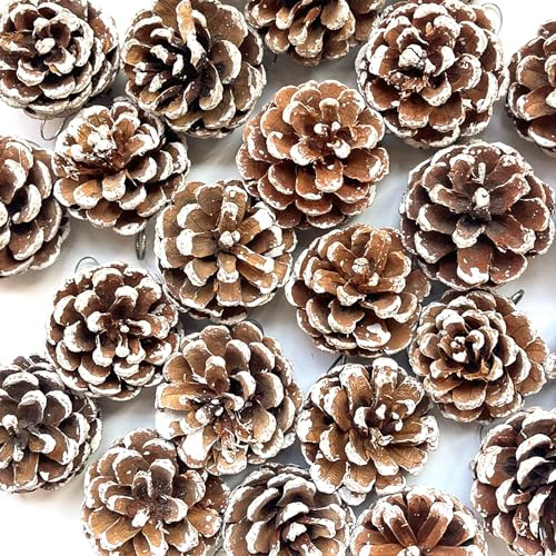 POTWPOT 20Pcs Snow Pine Cones Large Pine Cones with String for Craft Winter Holiday Hanging Ornament Home Decorations (5-6cm)