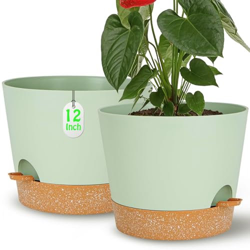 SUN-E 2Confezione 30,5+30,5CM Vasi per piante autoinnaffianti per pigrizia, fioriera in plastica verde per tutte le piante da appartamento, piante grasse, violette africane, fiori e cactus