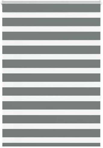 vidaXL Zebrarollo Dunkelgrau 100x150 cm Stoffbreite 95,9 cm Polyester, Zebra-Rollo, Doppelrollo, Zebra-Jalousie für Fenster, Doppelrollo, Zebra-Rollo