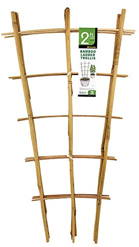 Natural Bamboo Trellis 24 Inches Tall, Mininfa Garden Ladder Trellis, Plant for Climbing Plants, Vegetables, Pots - 3 Pack