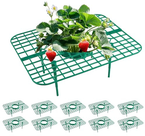 BBRGIRL Paquete de 10 soportes para fresas, soporte cuadrado para plantas de fresa, soporte reutilizable para el cultivo de fresas, soportes para plantas de fresa y maceta de fresas