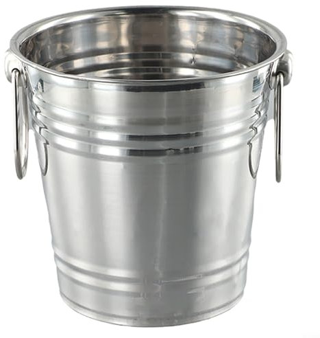 Raffreddatore per ghiaccio in acciaio inox, perfetto per vino e champagne (B)