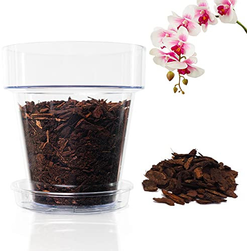 Kalapanta Kit de rempotage d'orchidées: 2 Pot Transparent avec Trous de Drainage Ø 14cm, 2 Soucoupe Ø 12cm et Terre spécifique pour orchidées