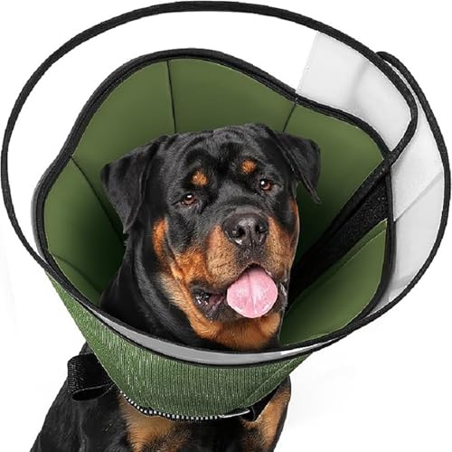 GMBYLBY Collar De Recuperación Para Perros Después De Las Operaciones Collar Protectivo Para Mascotas Collar Ajustable Previene Lamer Después De Las Operaciones