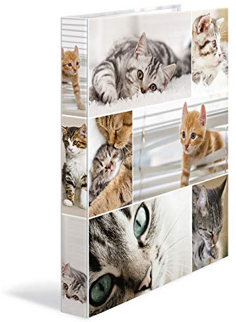 HERMA Ringbücher A4 Katzen Set, 3 Stück, schmal, 2 Ringe, 35 mm breit, Kinder Ringordner mit Tier Motiv, bunter Ordner mit Innendruck für Jungen und Mädchen
