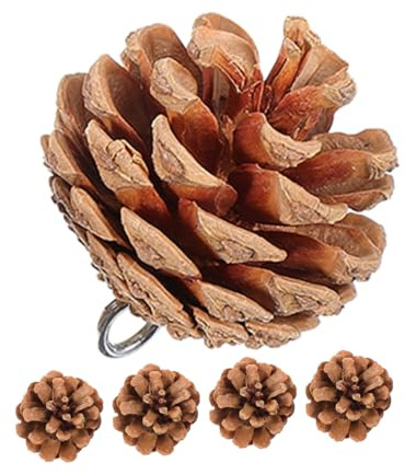 Toyvian Giocattoli da Masticare per Uccelli Set 5 Pigne Naturali, Piccoli Giocattoli per Pappagalli e Calopsitte, Accessori per Gabbia, Stimolazione Becco e Gioco Interattivo per Uccelli