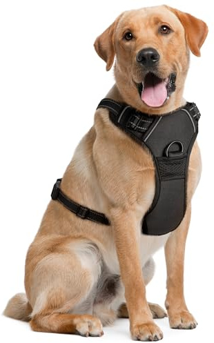 Dog Harness for Large Dogs - Extra-Large, Black - Soft-Padded & Adjustable No-Pull Design Pet Harness for Running, Hiking & Training - w/ 2 Leash Clips & Reflective Strips - by EcoEarth