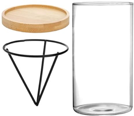 Kit de culture d'avocatier – Lot de 3 d'avocat à planter | Vase de démarrage élégant avec base en bois | Kit de culture d'avocat pour débutants pour les amateurs de jardinage intérieur et de