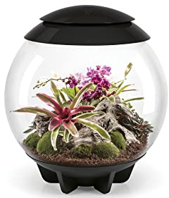 biOrb AIR 60 Terrarium, Automated 360-Degree Tropical Plant Eco-System | Replicates Natural Daylight, Air Movement & Humidity, Easy Setup, Includes Coir Compost, Misting Module & LED Lighting