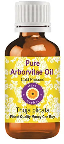 Deve Herbes Pure Arborvitae Oil (Thuja plicata) Non-Sticky | Non-Greasy | Warm Woody Aroma | For Aromatherapy, Meditation, Massage & Blends 10ml