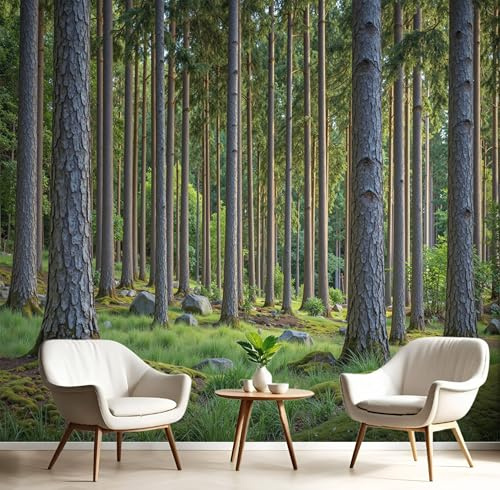 Papel Tapiz Fotográfico 3D Calcomanías De Pared, Bosque De Pinos Altos Sala De Estar Tv Fondo Mural,Paisaje Natural Papel Tapiz 3D Decoración Dormitorio Mural-250 × 175 cm